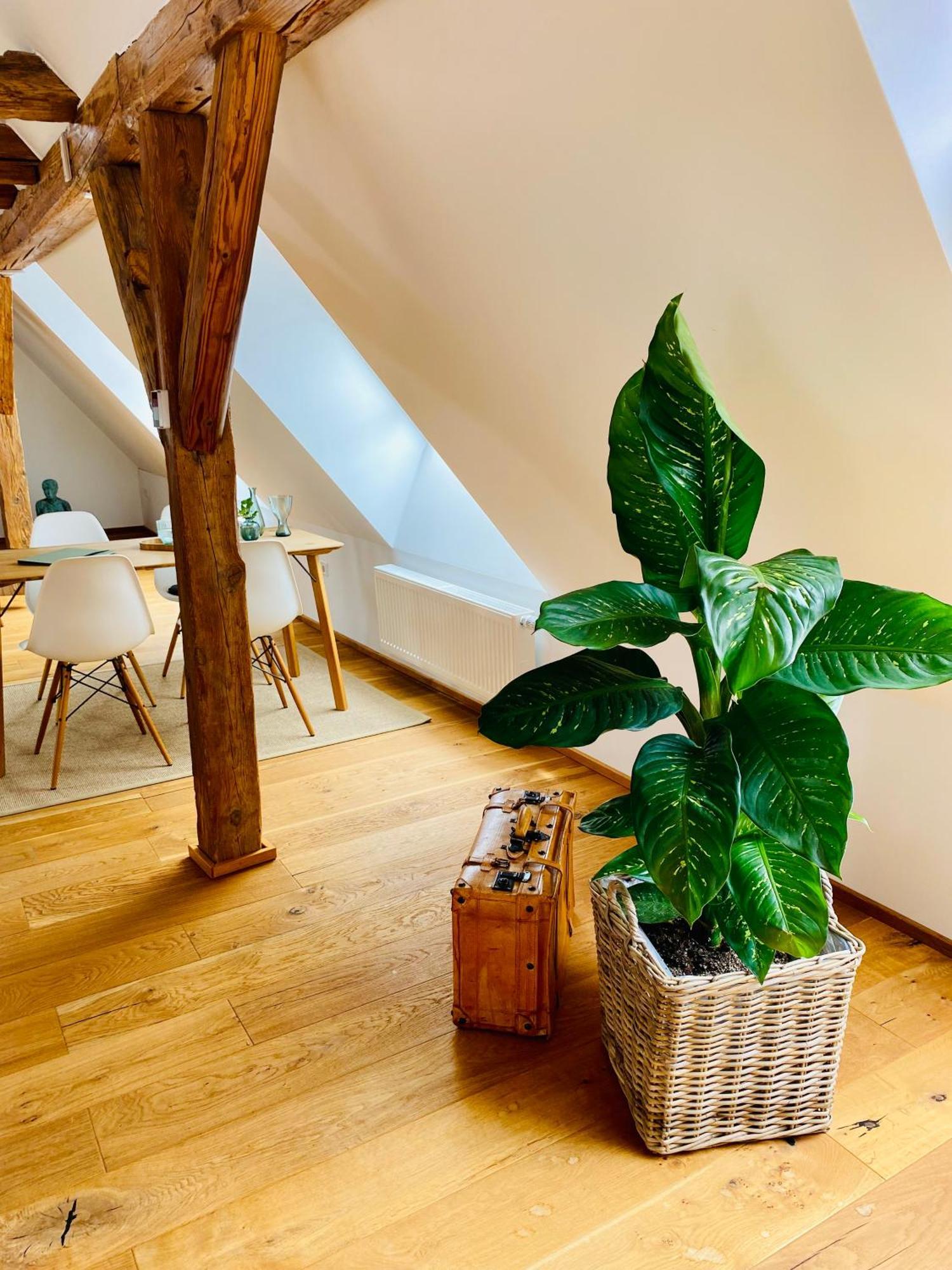 Apartment Am Schlosshof ベジクハイム エクステリア 写真